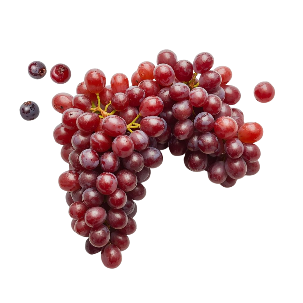 Grappe de raisin rouge sur un fond blanc comportant 4 raisins détachés.